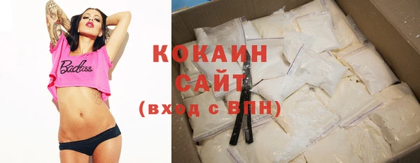 винт Богданович