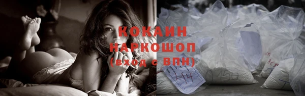 винт Богданович