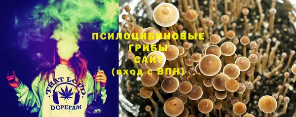 винт Богданович