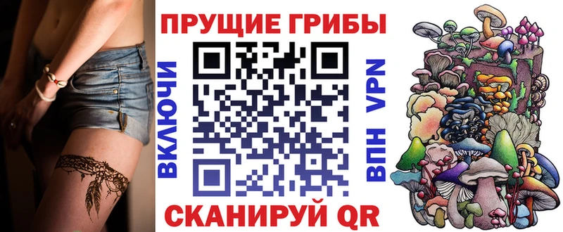 дарнет шоп  Тверь  Галлюциногенные грибы ЛСД 